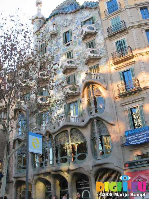 21217 Casa Batllo